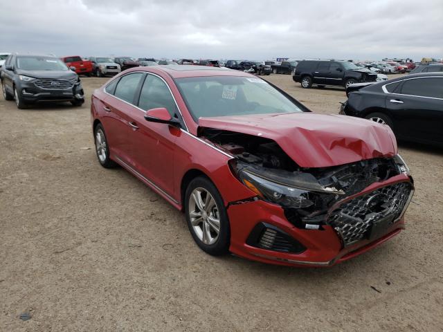 HYUNDAI SONATA LIM 2019 5npe34af0kh733209