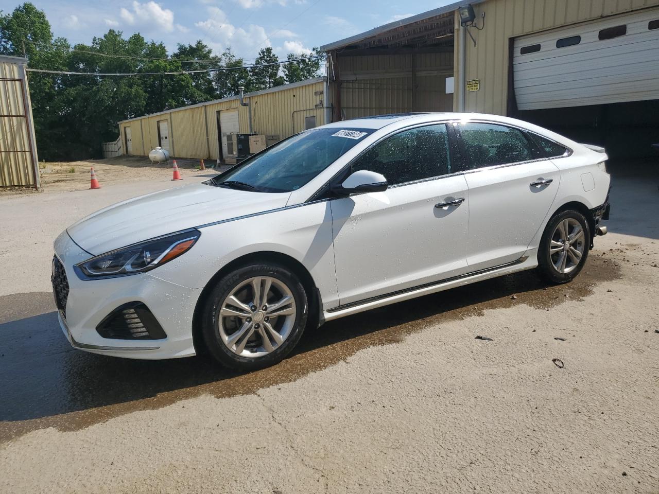 HYUNDAI SONATA 2019 5npe34af0kh750172