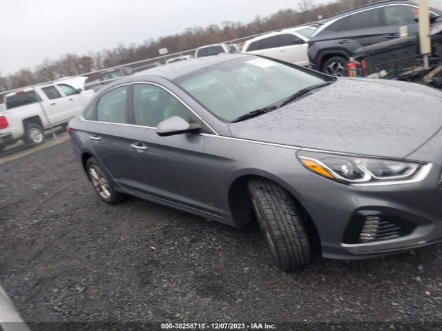 HYUNDAI SONATA 2019 5npe34af0kh759275