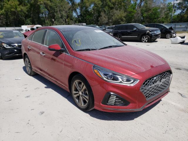 HYUNDAI SONATA LIM 2019 5npe34af0kh770177