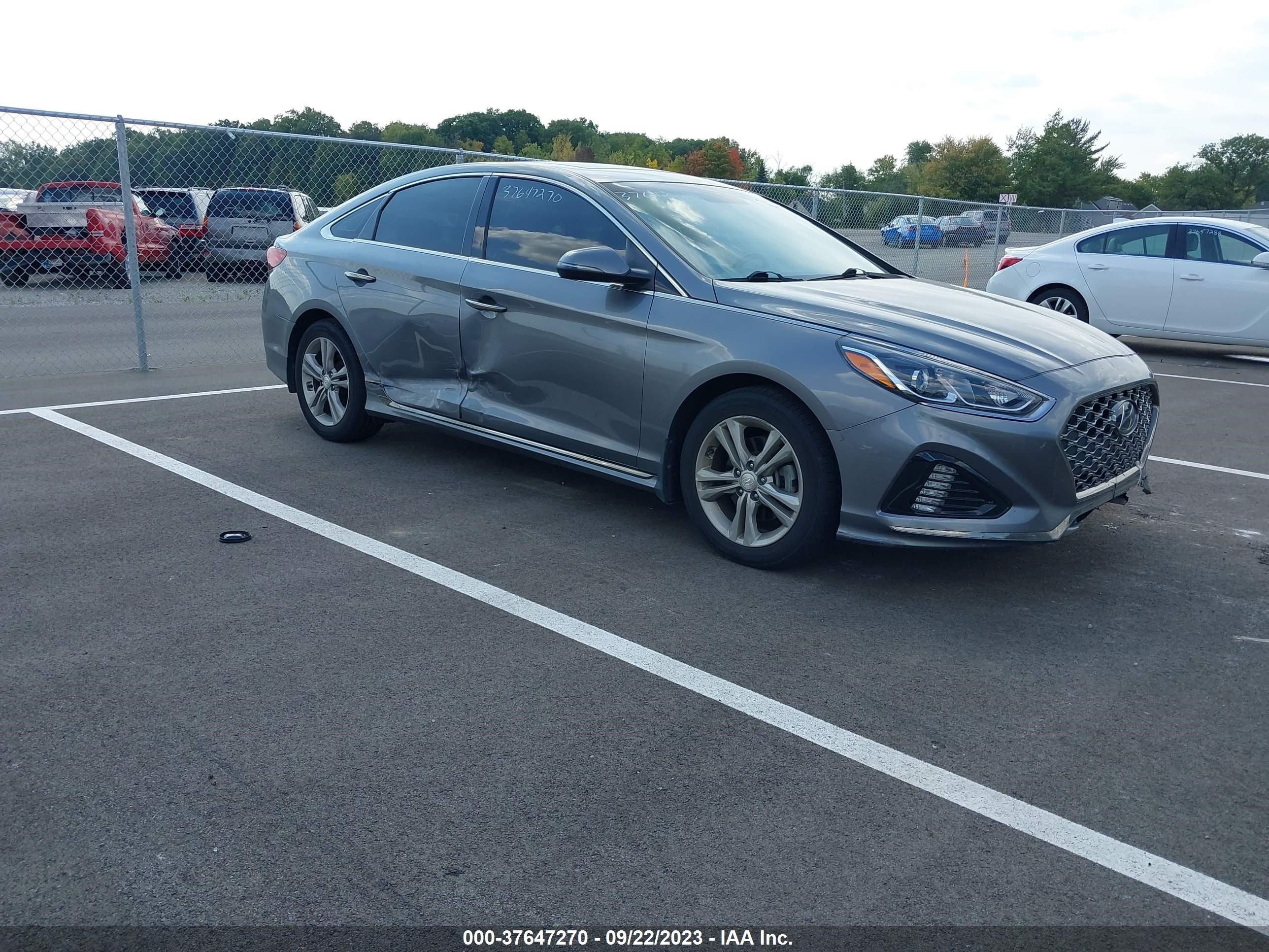 HYUNDAI SONATA 2019 5npe34af0kh770339