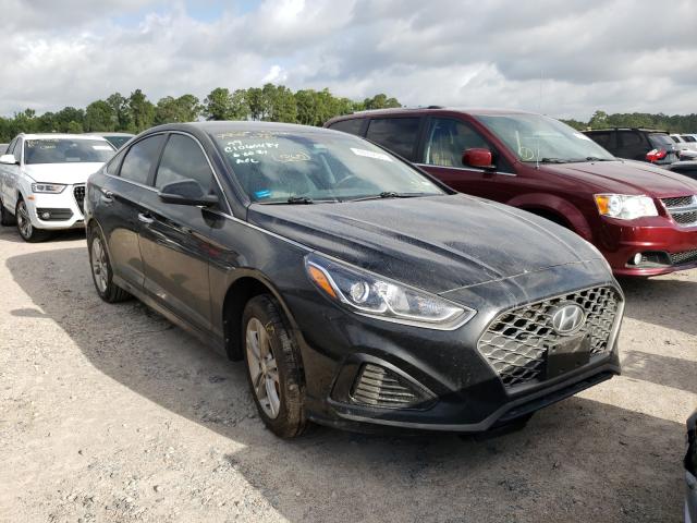 HYUNDAI SONATA LIM 2019 5npe34af0kh772012