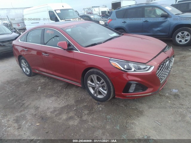 HYUNDAI SONATA 2019 5npe34af0kh773306