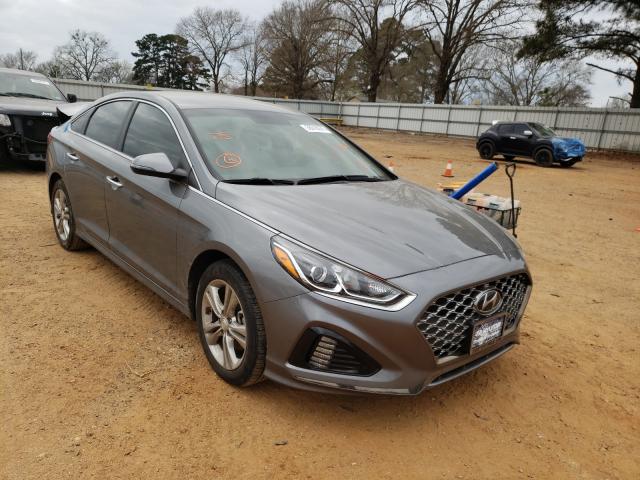 HYUNDAI SONATA LIM 2019 5npe34af0kh786895