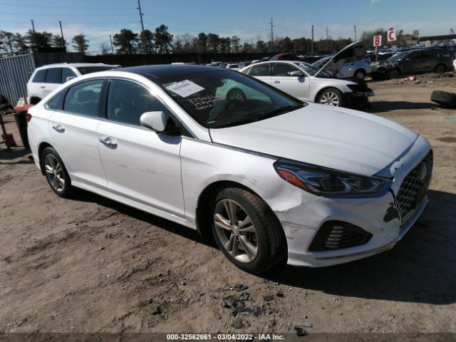 HYUNDAI SONATA 2019 5npe34af0kh795953