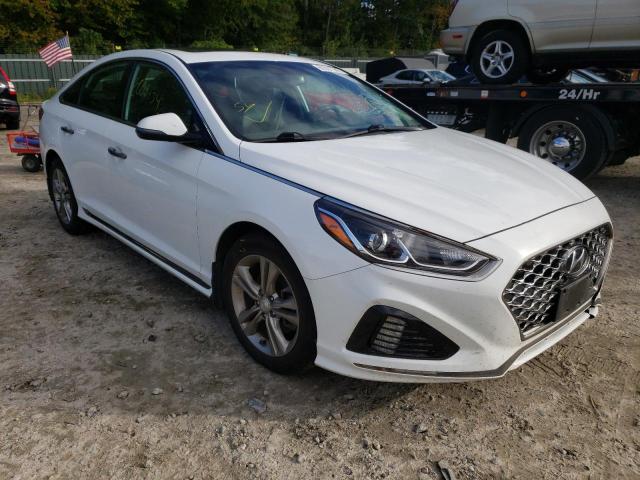 HYUNDAI SONATA LIM 2019 5npe34af0kh810936