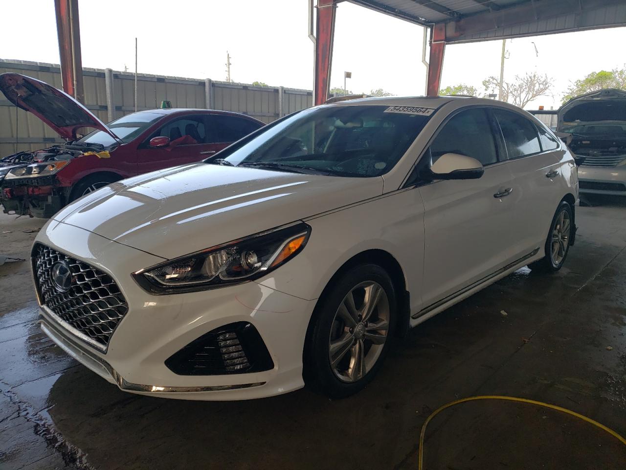 HYUNDAI SONATA 2019 5npe34af0kh814369