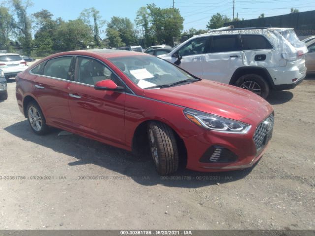 HYUNDAI SONATA 2019 5npe34af0kh816834