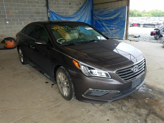 HYUNDAI SONATA SPO 2015 5npe34af1fh021233