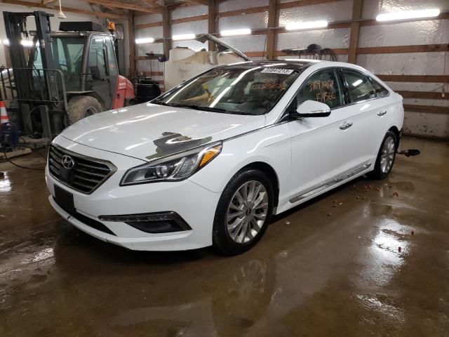 HYUNDAI SONATA SPO 2015 5npe34af1fh028568