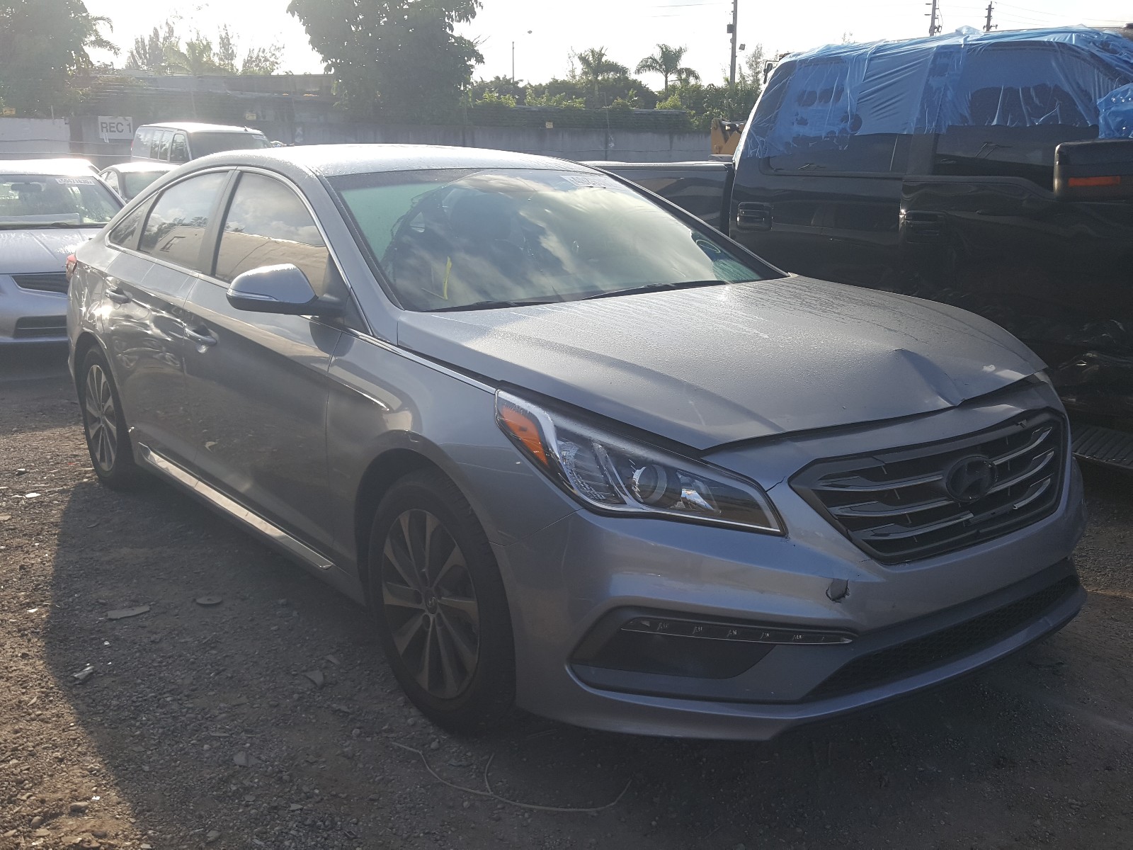 HYUNDAI SONATA SPO 2015 5npe34af1fh034886