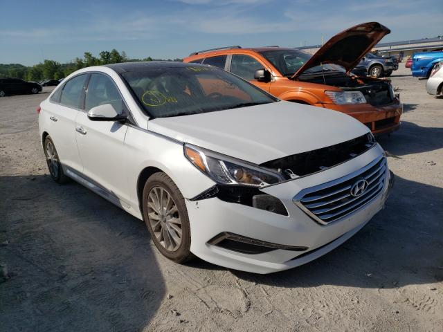 HYUNDAI SONATA SPO 2015 5npe34af1fh051395