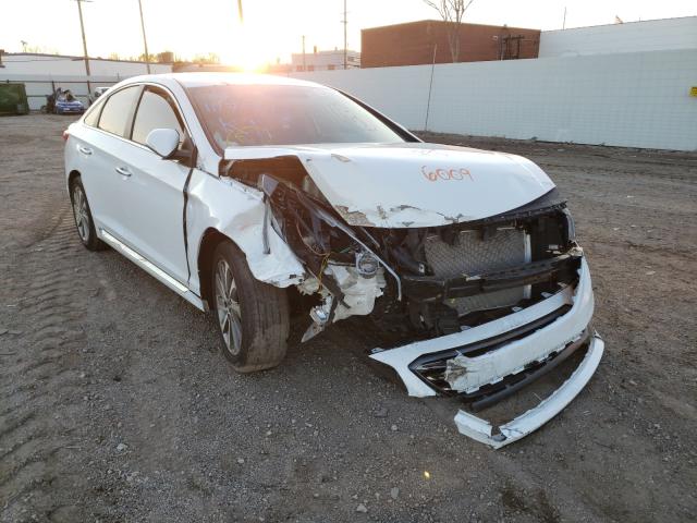 HYUNDAI SONATA SPO 2015 5npe34af1fh066009