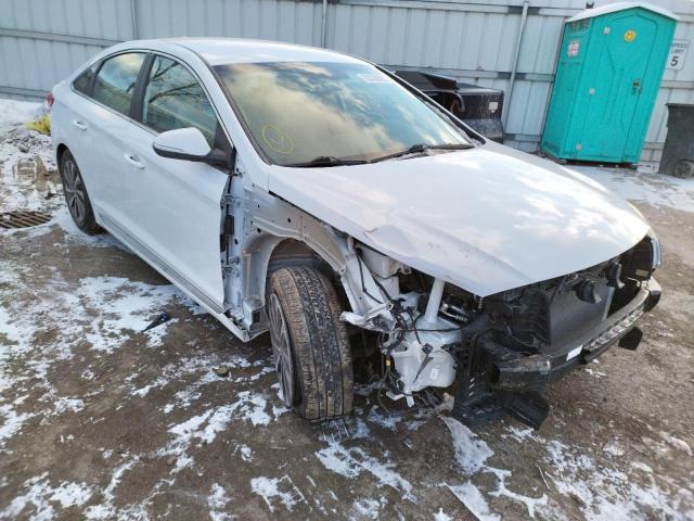 HYUNDAI SONATA SPO 2015 5npe34af1fh069850