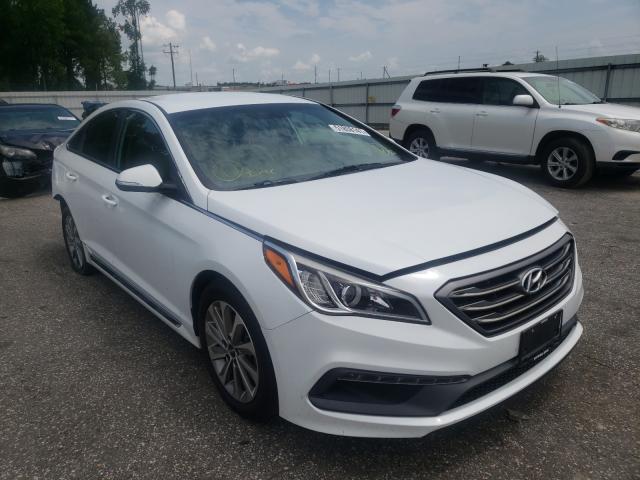 HYUNDAI SONATA SPO 2015 5npe34af1fh081755