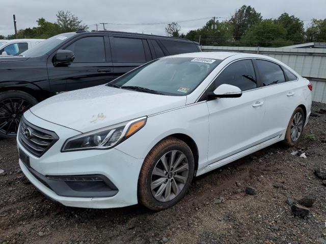 HYUNDAI SONATA SPO 2015 5npe34af1fh088009