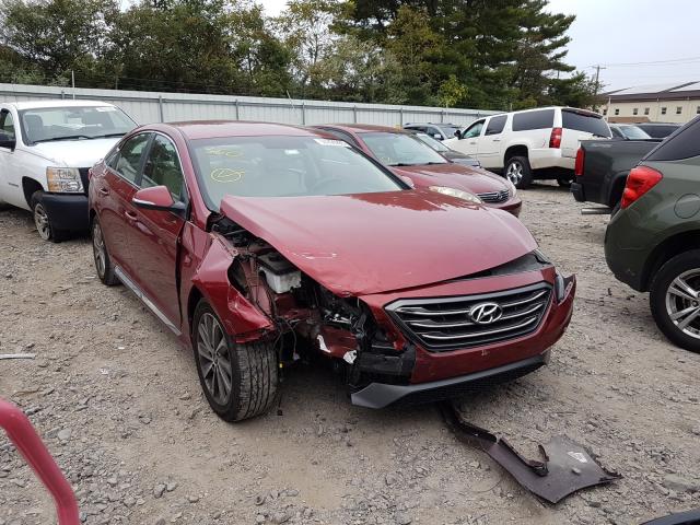 HYUNDAI SONATA SPO 2015 5npe34af1fh094683