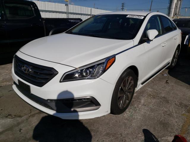 HYUNDAI SONATA SPO 2015 5npe34af1fh112065