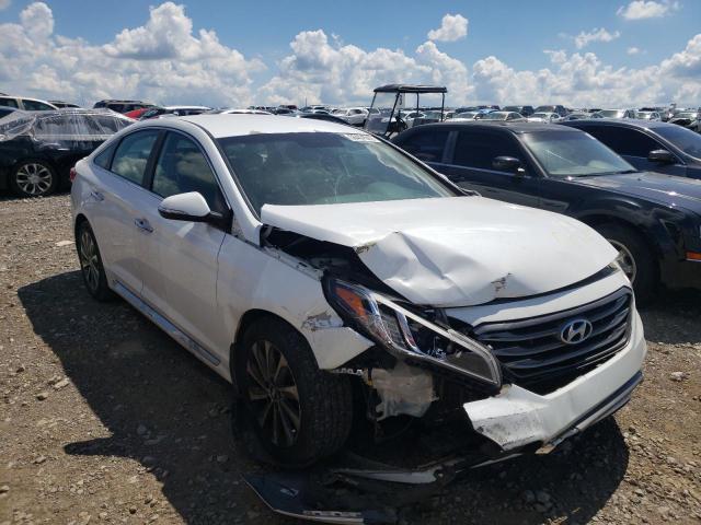 HYUNDAI SONATA SPO 2015 5npe34af1fh124426