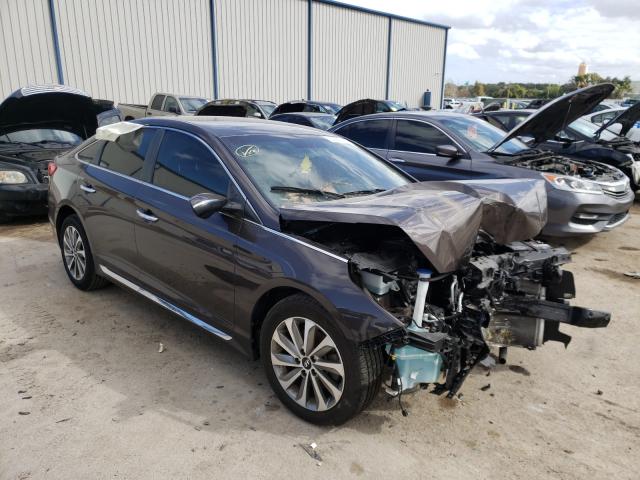 HYUNDAI SONATA SPO 2015 5npe34af1fh189857