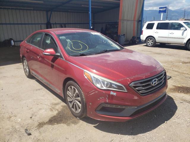 HYUNDAI SONATA SPO 2015 5npe34af1fh195772