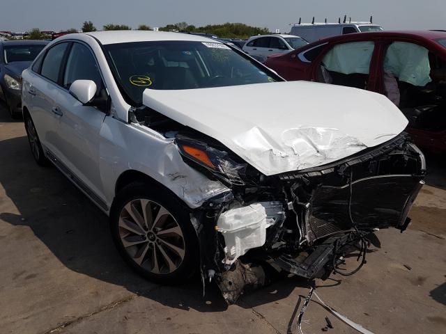 HYUNDAI SONATA SPO 2015 5npe34af1fh204566