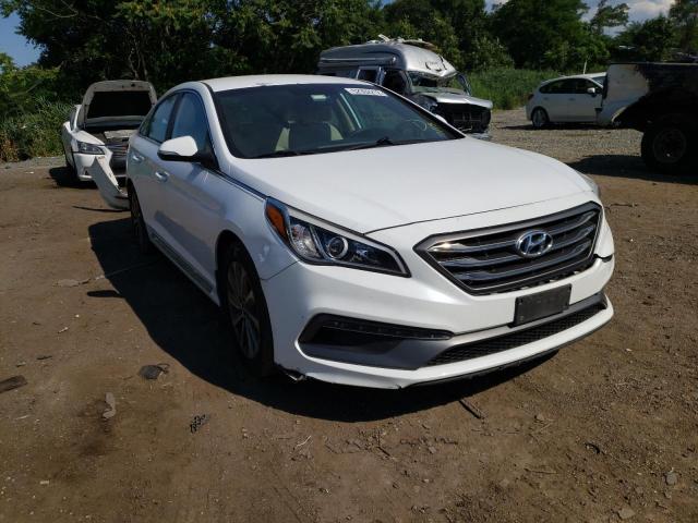 HYUNDAI SONATA SPO 2015 5npe34af1fh216409