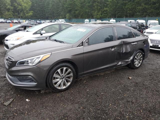 HYUNDAI SONATA SPO 2015 5npe34af1fh224705