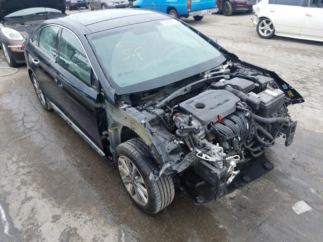 HYUNDAI SONATA SPO 2016 5npe34af1gh268981