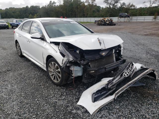 HYUNDAI SONATA SPO 2016 5npe34af1gh269032