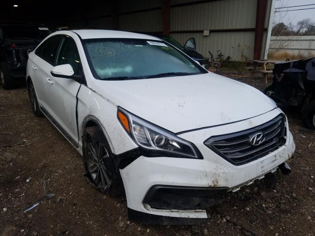 HYUNDAI SONATA SPO 2016 5npe34af1gh280077