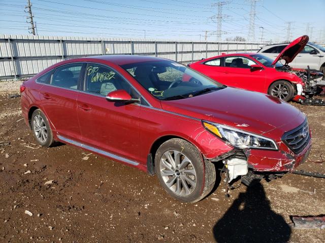 HYUNDAI SONATA SPO 2016 5npe34af1gh292830