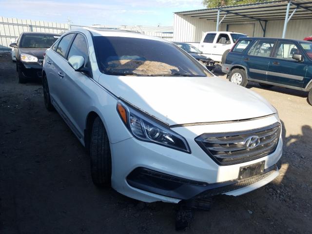 HYUNDAI SONATA SPO 2016 5npe34af1gh297591