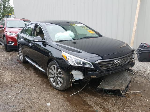 HYUNDAI SONATA SPO 2016 5npe34af1gh311277