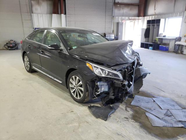 HYUNDAI SONATA SPO 2016 5npe34af1gh315135