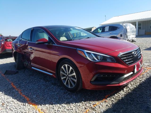 HYUNDAI SONATA SPO 2016 5npe34af1gh318598