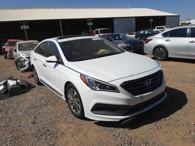 HYUNDAI SONATA SPO 2016 5npe34af1gh320285