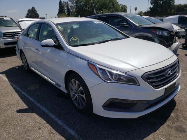 HYUNDAI SONATA SPO 2016 5npe34af1gh327592