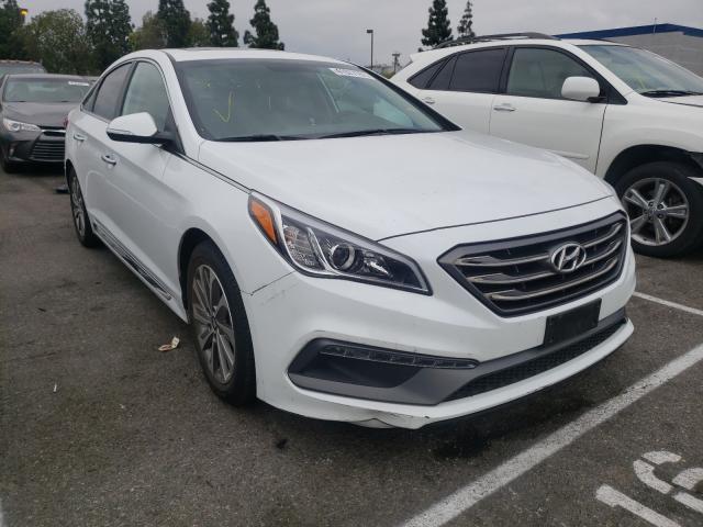 HYUNDAI SONATA SPO 2016 5npe34af1gh332033