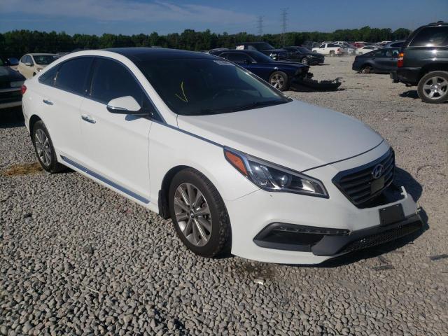 HYUNDAI SONATA SPO 2016 5npe34af1gh342173