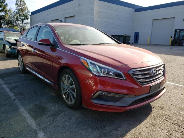 HYUNDAI SONATA SPO 2016 5npe34af1gh352315