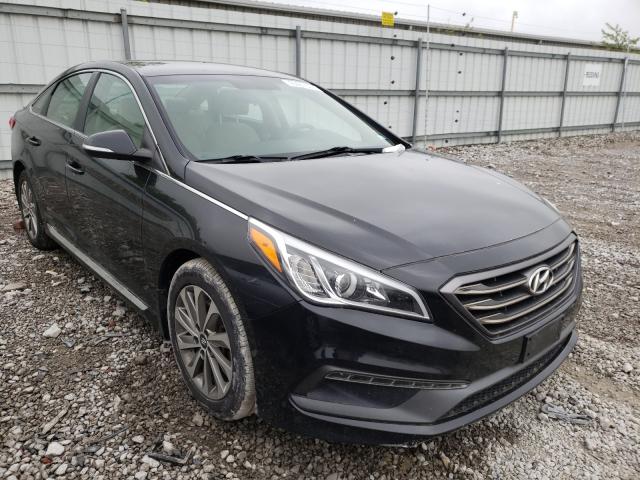 HYUNDAI SONATA SPO 2016 5npe34af1gh367008