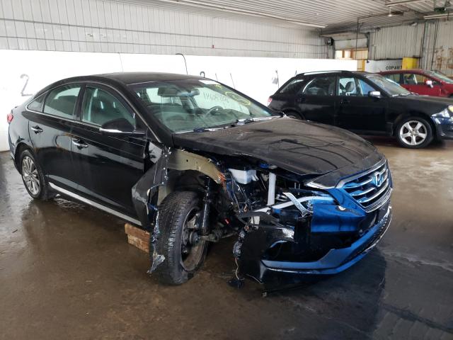 HYUNDAI SONATA SPO 2016 5npe34af1gh371544