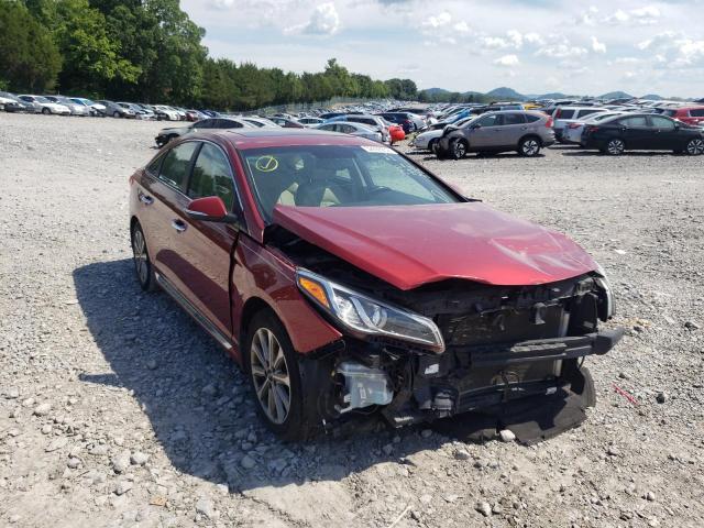 HYUNDAI SONATA SPO 2016 5npe34af1gh410570