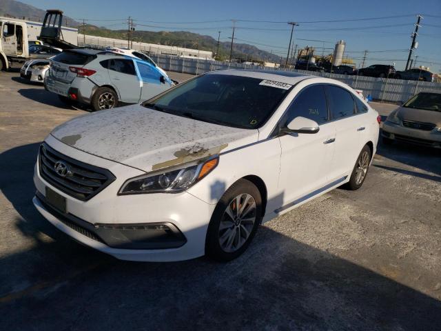 HYUNDAI SONATA SPO 2016 5npe34af1gh424694