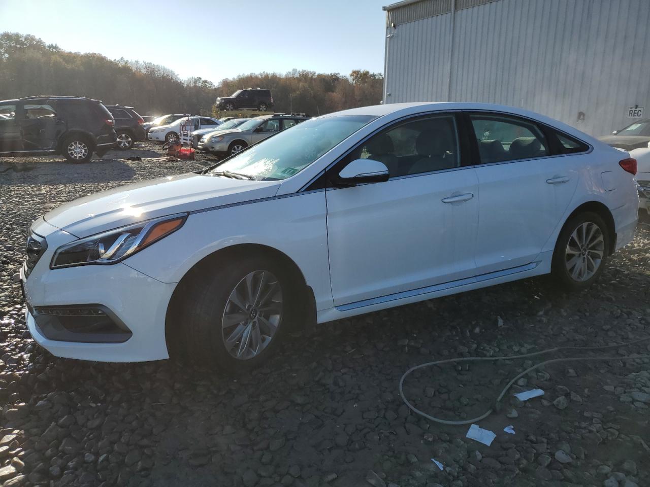 HYUNDAI SONATA 2016 5npe34af1gh425926