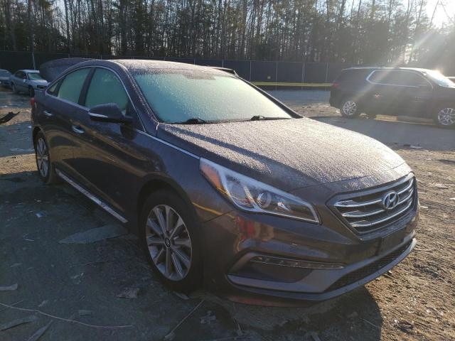 HYUNDAI SONATA SPO 2016 5npe34af1gh431600