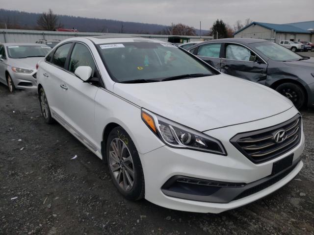 HYUNDAI SONATA SPO 2017 5npe34af1hh446132