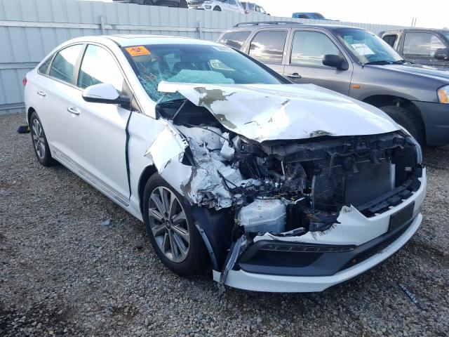 HYUNDAI SONATA SPO 2017 5npe34af1hh485402