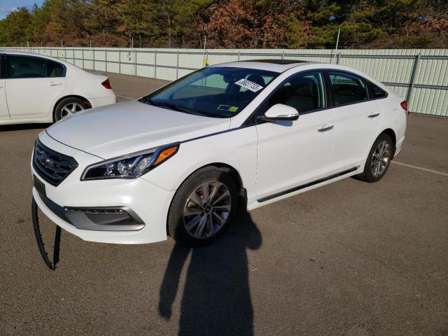 HYUNDAI SONATA SPO 2017 5npe34af1hh487554